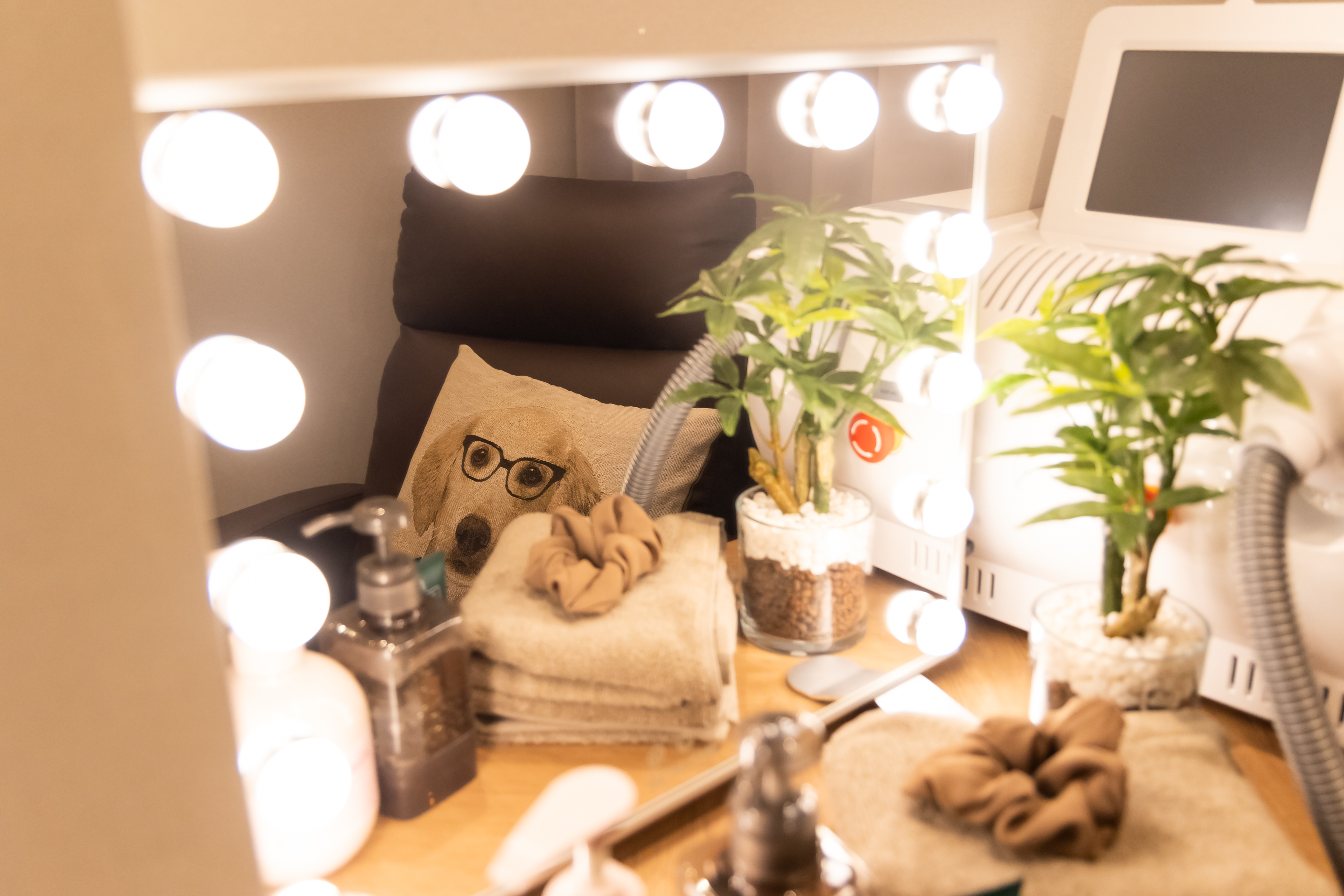 鏡台の鏡にソファと犬のイラストのクッションが映り込み、鏡台の上に様々な美容用品やタオル、シュシュ、観葉植物、フォトフェイシャルの機器が置いてある画像